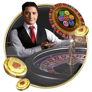 全面了解b体育官方app下载的功能与特色